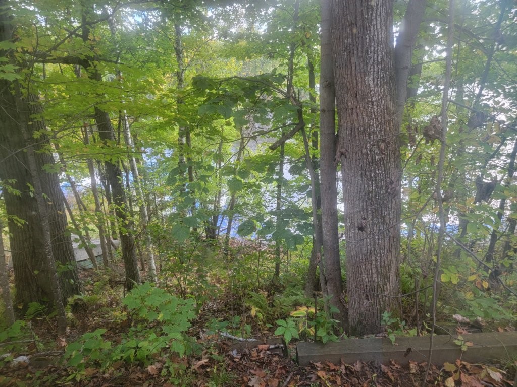 6733w Golf Course Road Property Photo 34