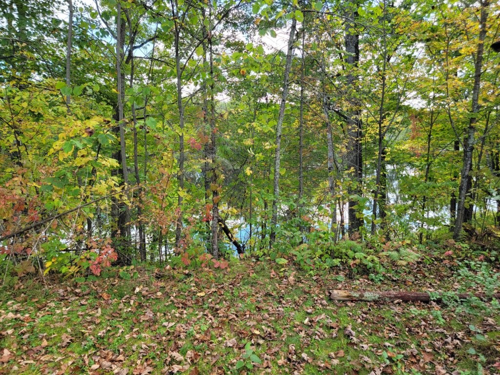 6733w Golf Course Road Property Photo 43