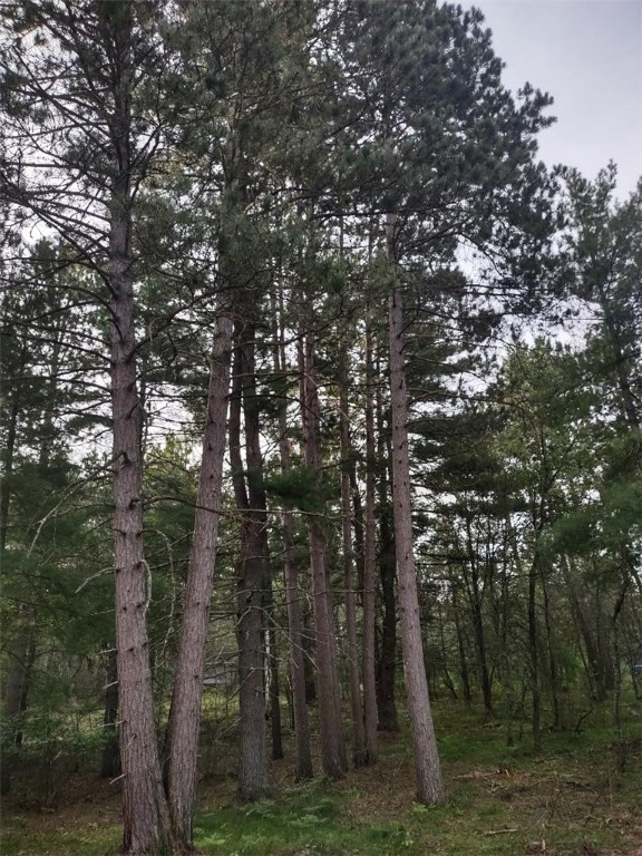 Tbd Lynx Road Property Photo 1