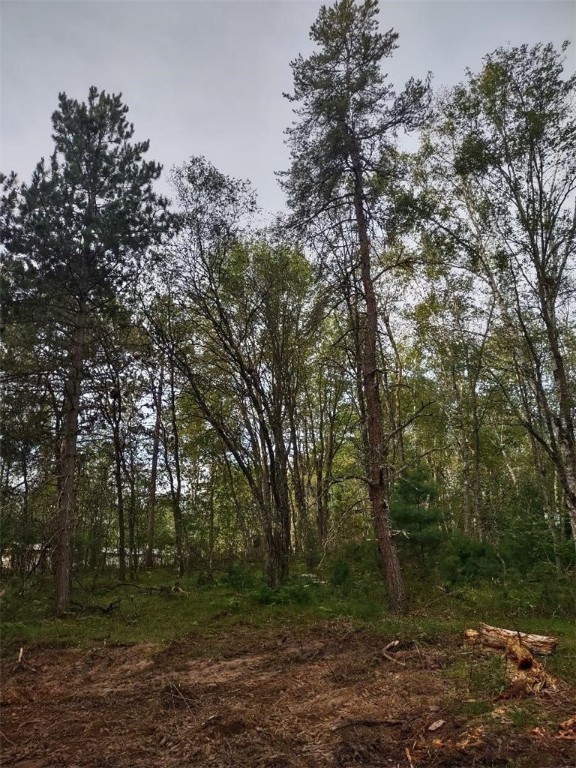 Tbd Lynx Road Property Photo 2