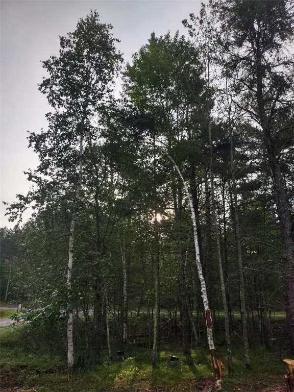 Tbd Lynx Road Property Photo 3