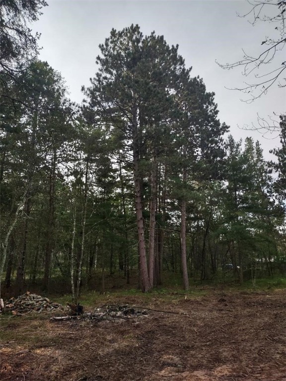 Tbd Lynx Road Property Photo 4