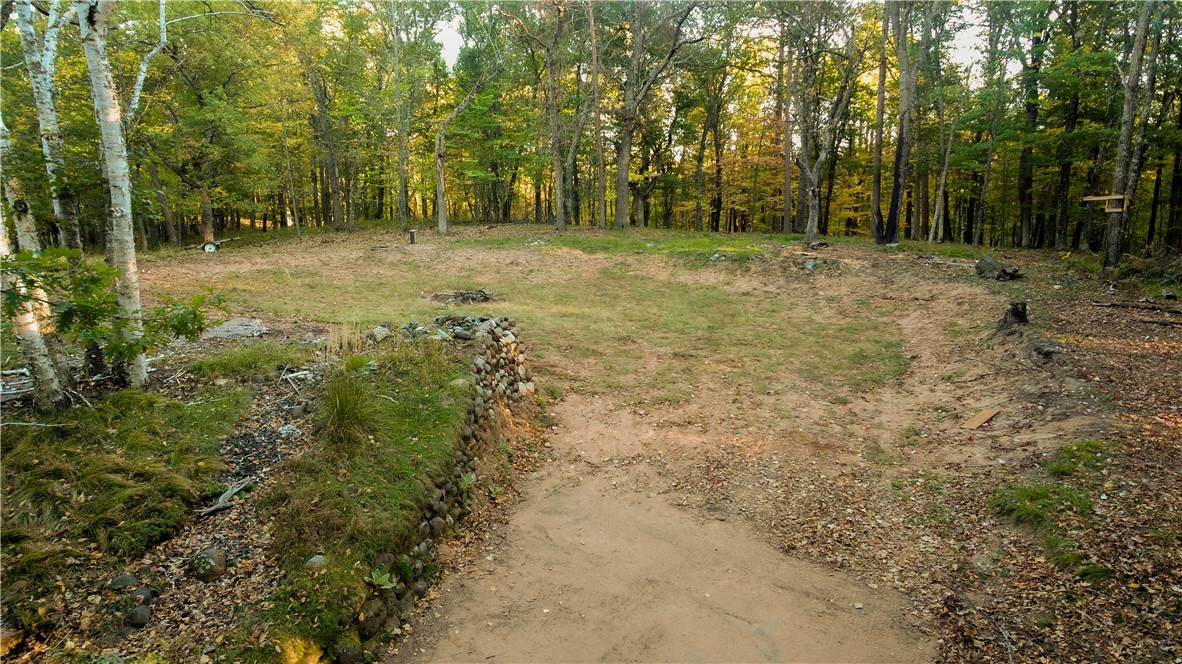 28649 Great Bear Trailway Property Photo 3