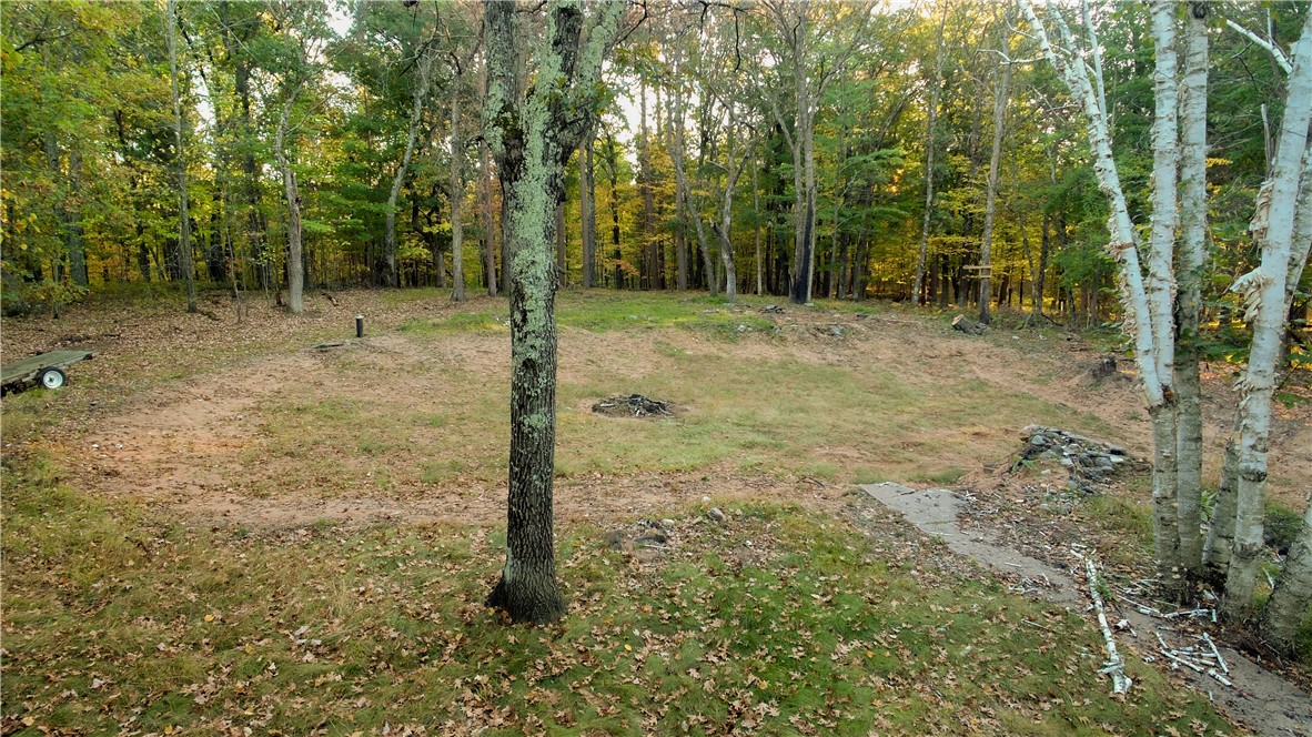 28649 Great Bear Trailway Property Photo 4