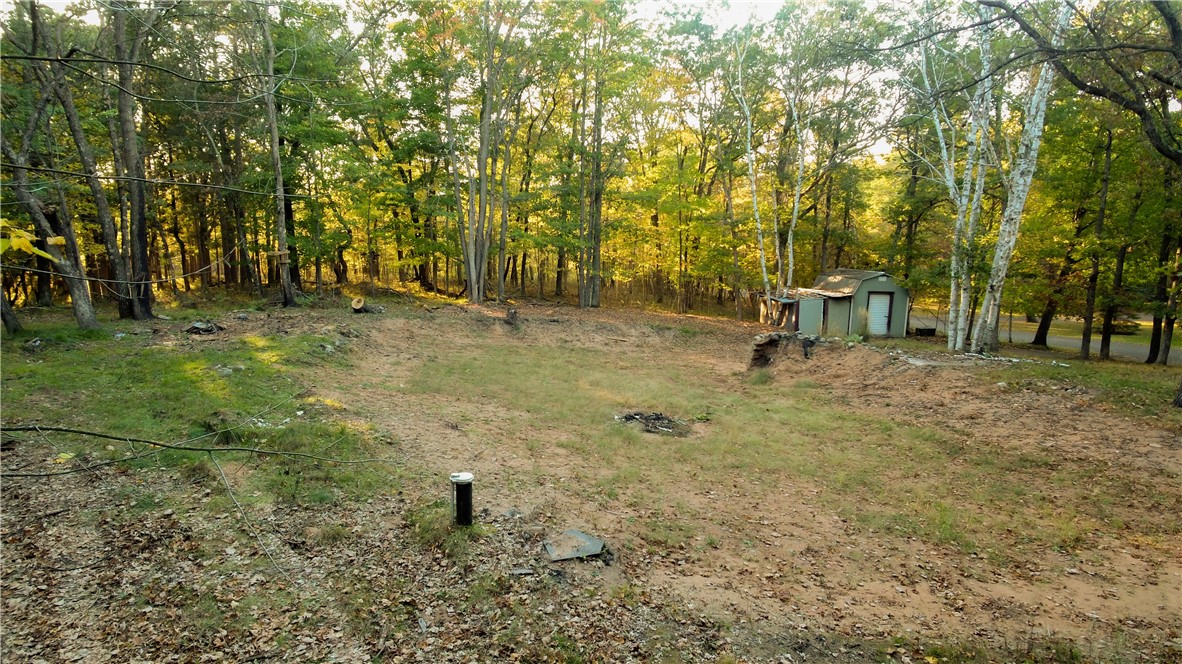 28649 Great Bear Trailway Property Photo 5