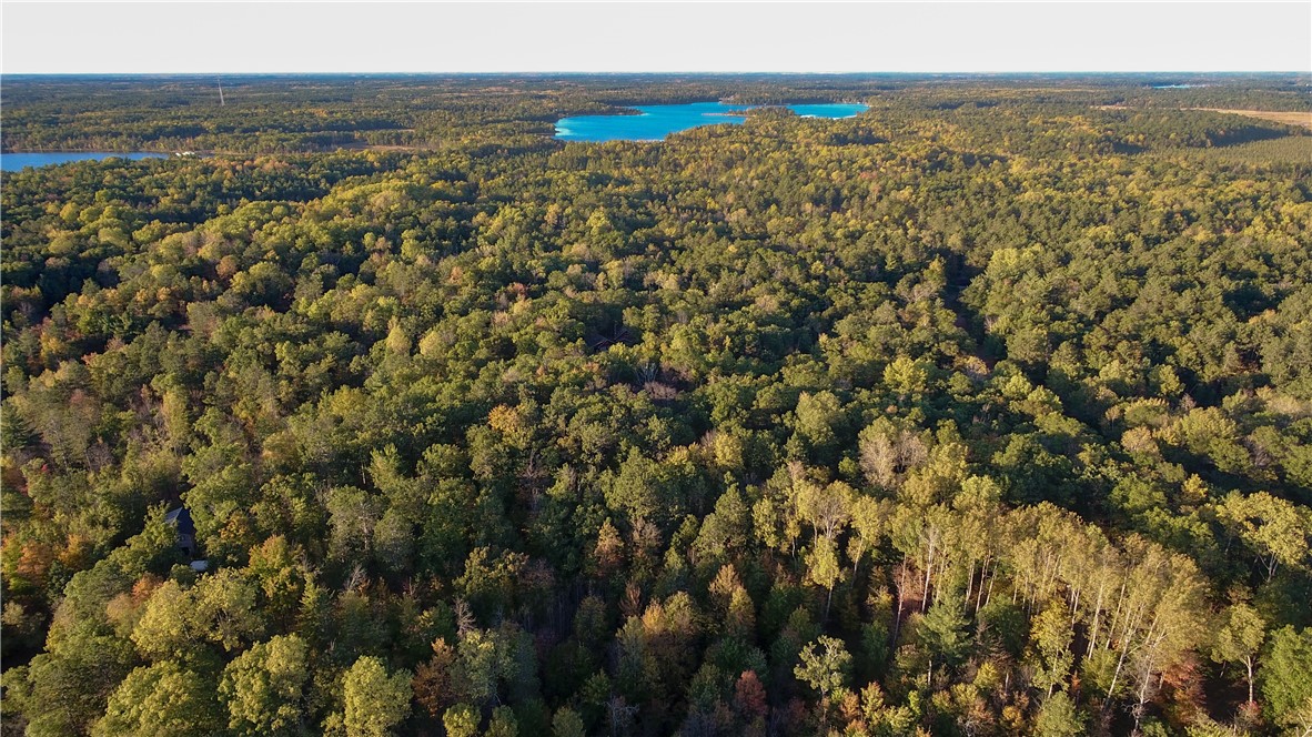 28649 Great Bear Trailway Property Photo 10