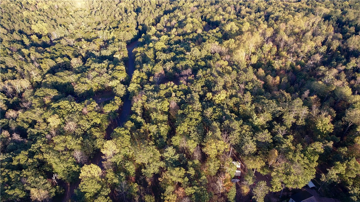28649 Great Bear Trailway Property Photo 11