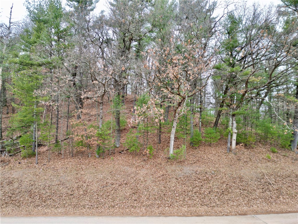 2.89 Acres Holum Road Property Photo 2
