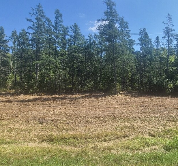 Xx Highway 77 Property Photo 3