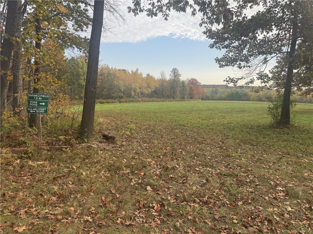 Tbd N State Road 40 Property Photo 1