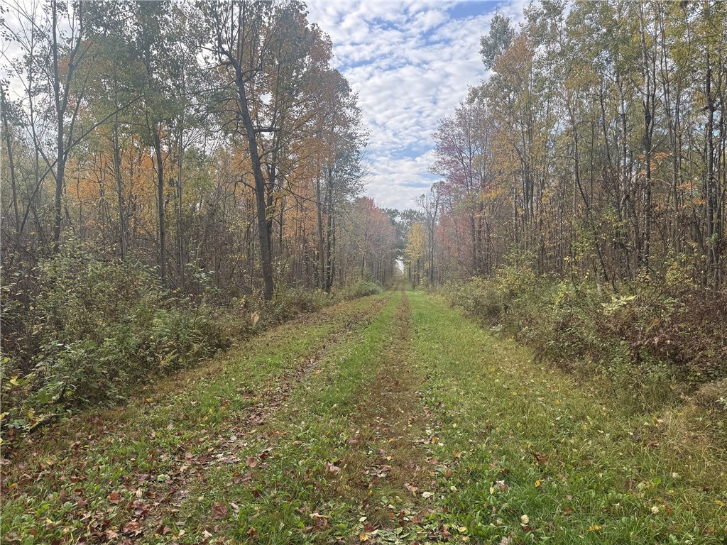 Tbd N State Road 40 Property Photo 3