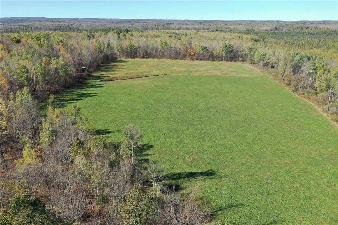 Tbd N State Road 40 Property Photo 5