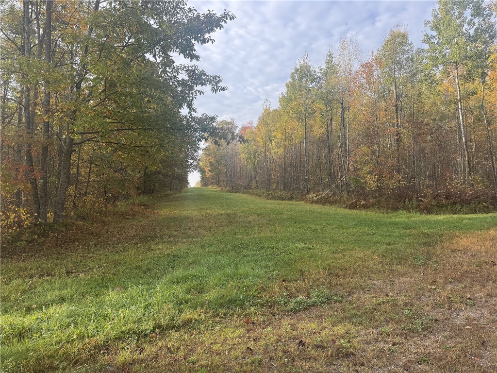 Tbd N State Road 40 Property Photo 8