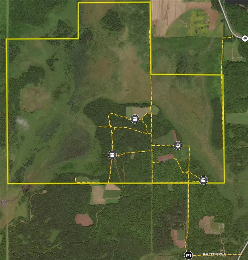 Tbd N State Road 40 Property Photo 9