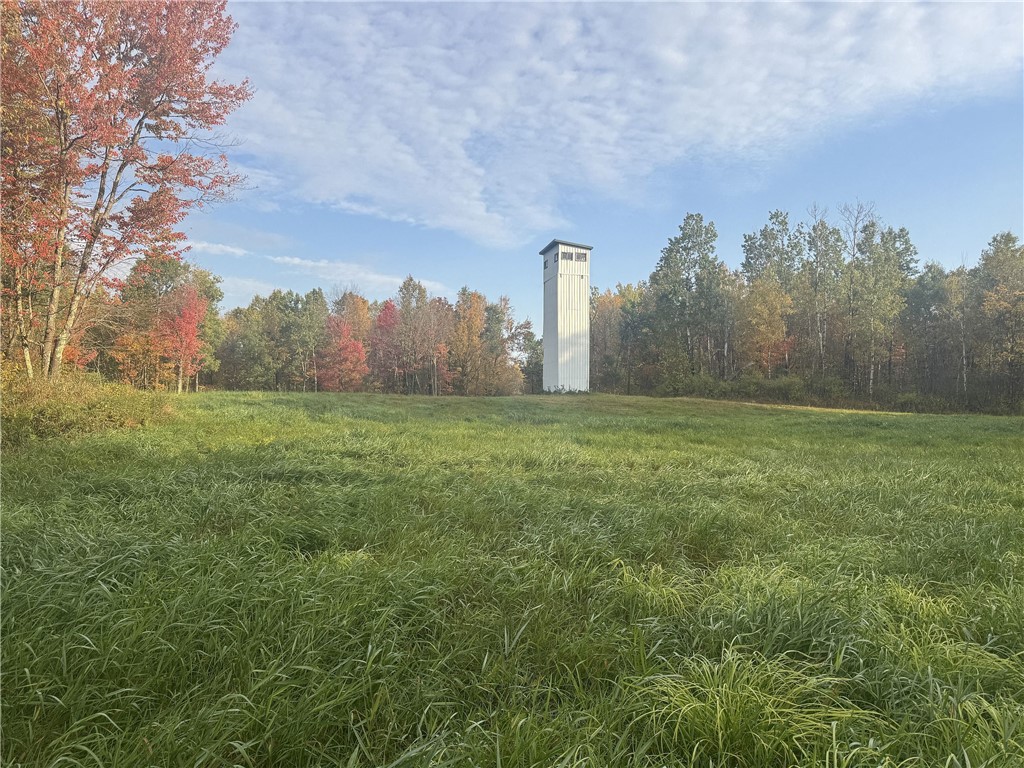 Tbd N State Road 40 Property Photo 13