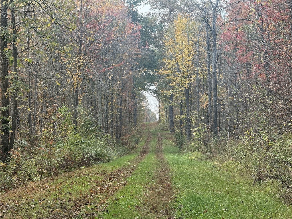 Tbd N State Road 40 Property Photo 15