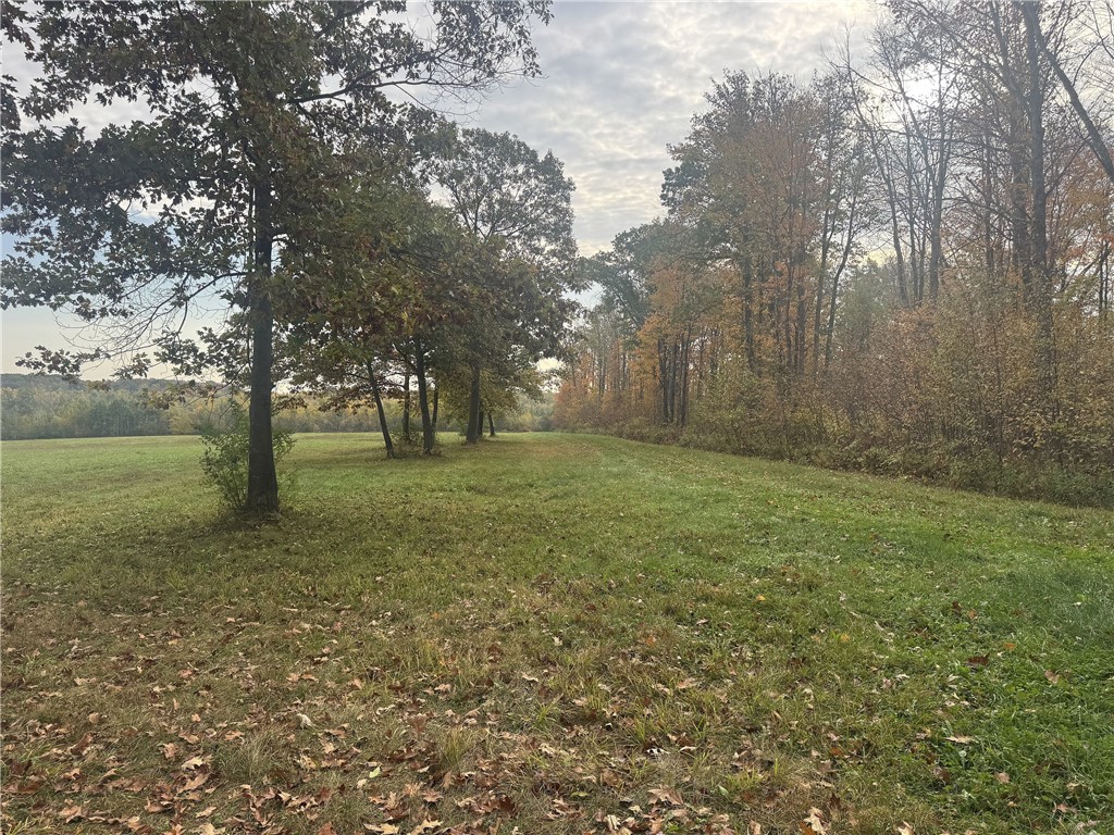 Tbd N State Road 40 Property Photo 16