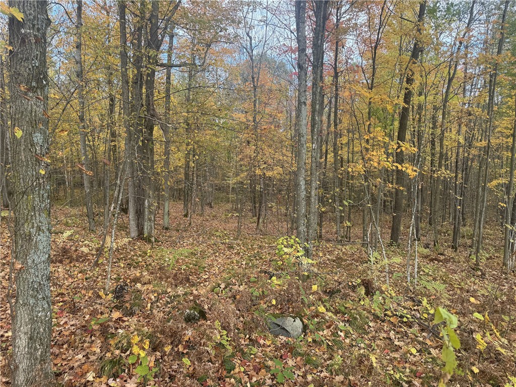 Tbd N State Road 40 Property Photo 18