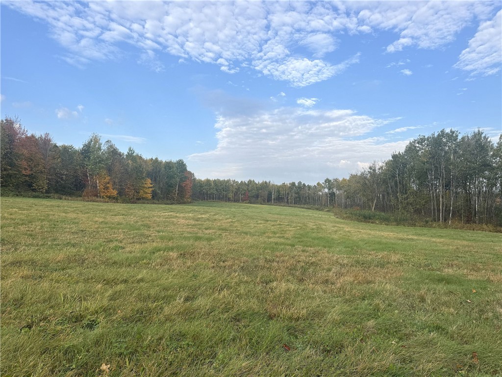 Tbd N State Road 40 Property Photo 20