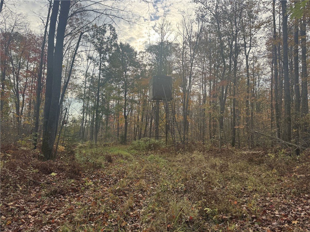 Tbd N State Road 40 Property Photo 21