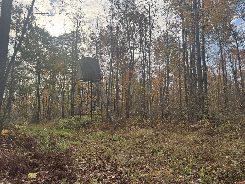 Tbd N State Road 40 Property Photo 22