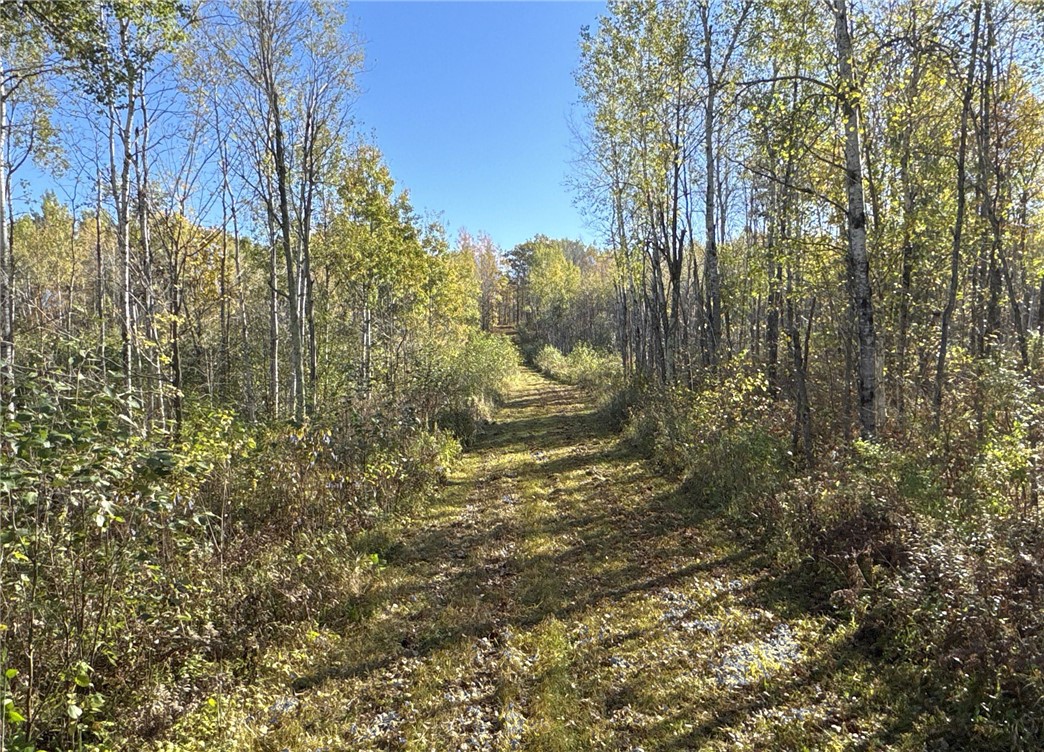 Tbd N State Road 40 Property Photo 23