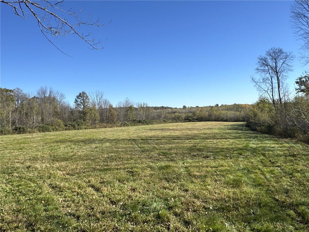Tbd N State Road 40 Property Photo 24