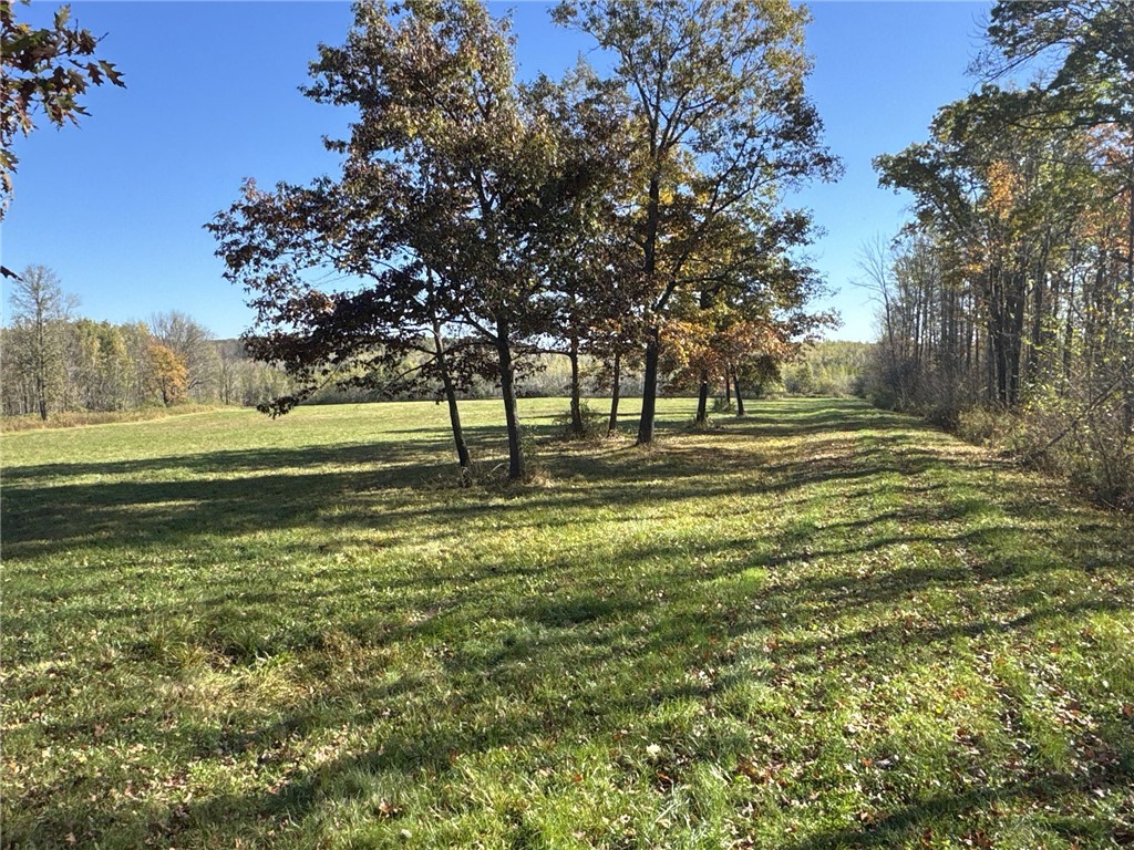 Tbd N State Road 40 Property Photo 25