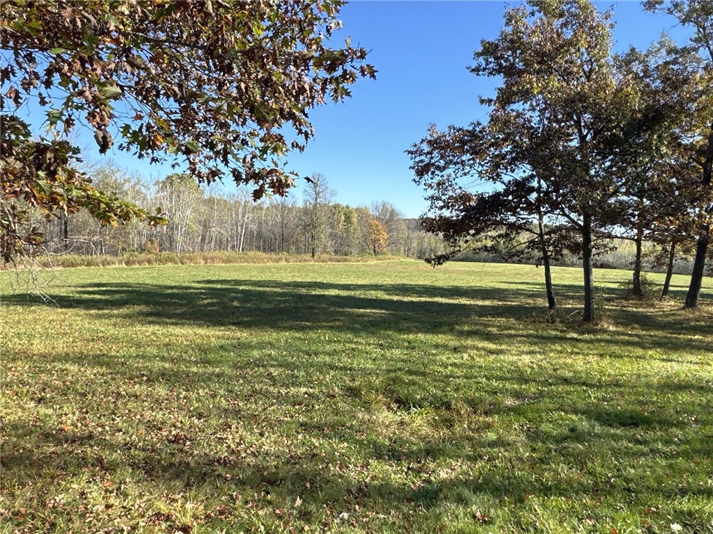Tbd N State Road 40 Property Photo 26