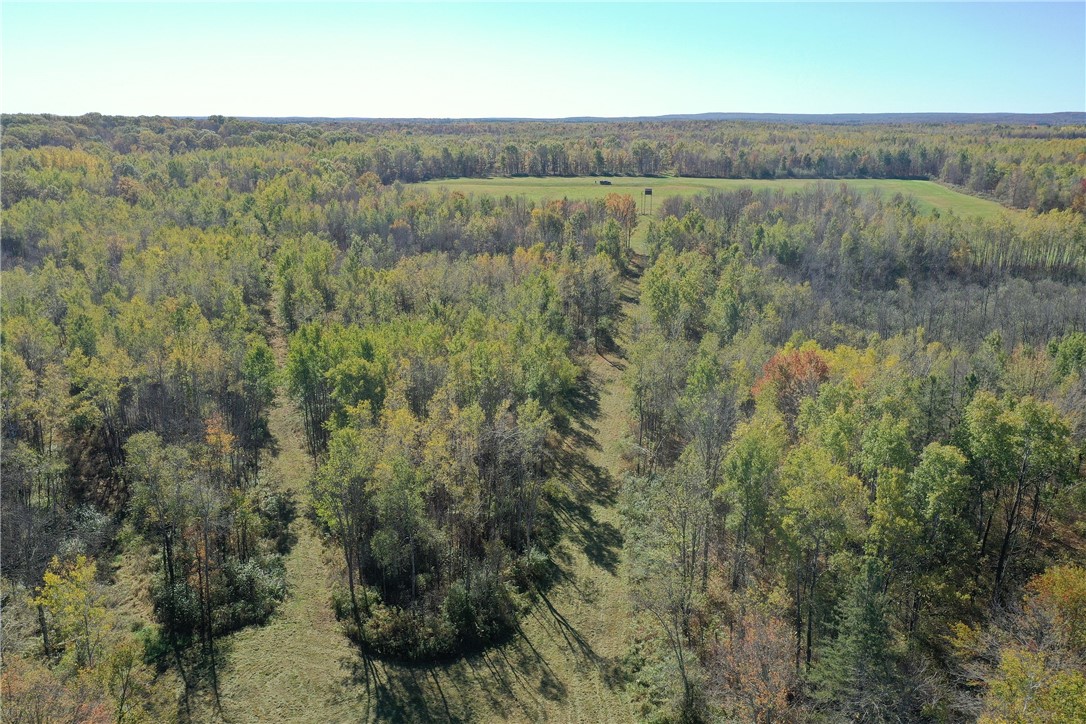 Tbd N State Road 40 Property Photo 28