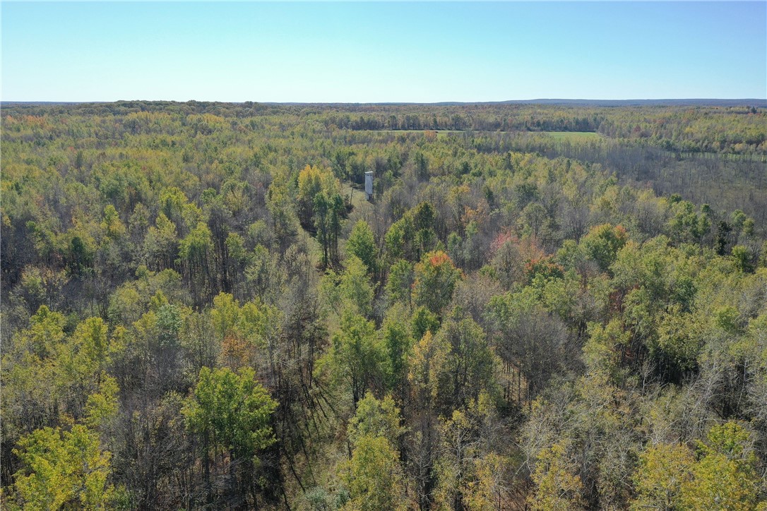 Tbd N State Road 40 Property Photo 29