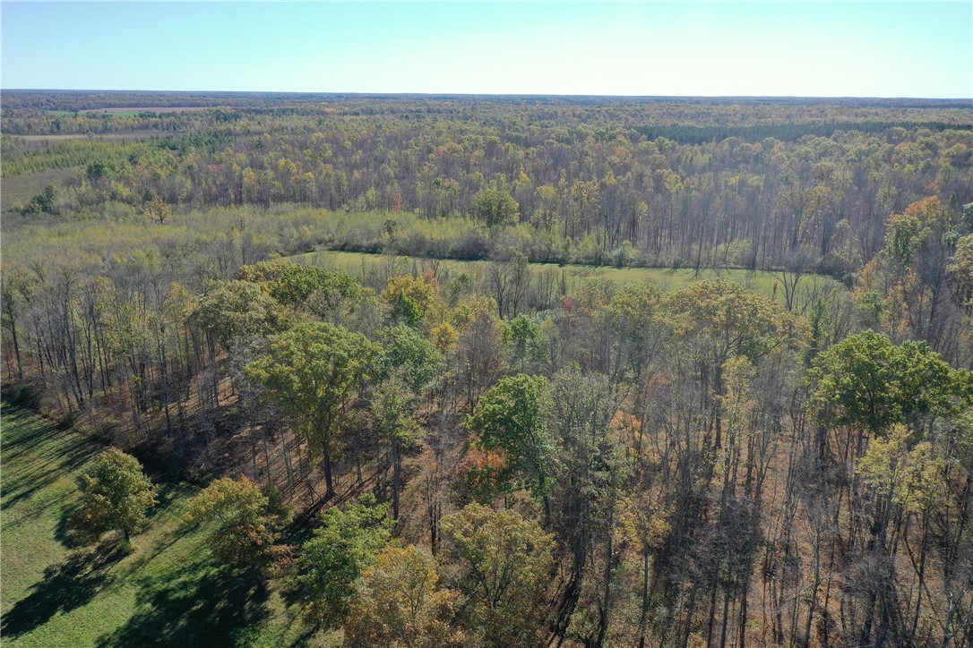 Tbd N State Road 40 Property Photo 33