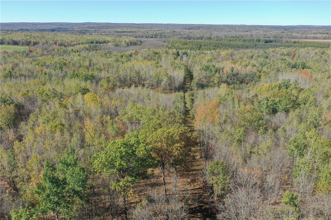 Tbd N State Road 40 Property Photo 35