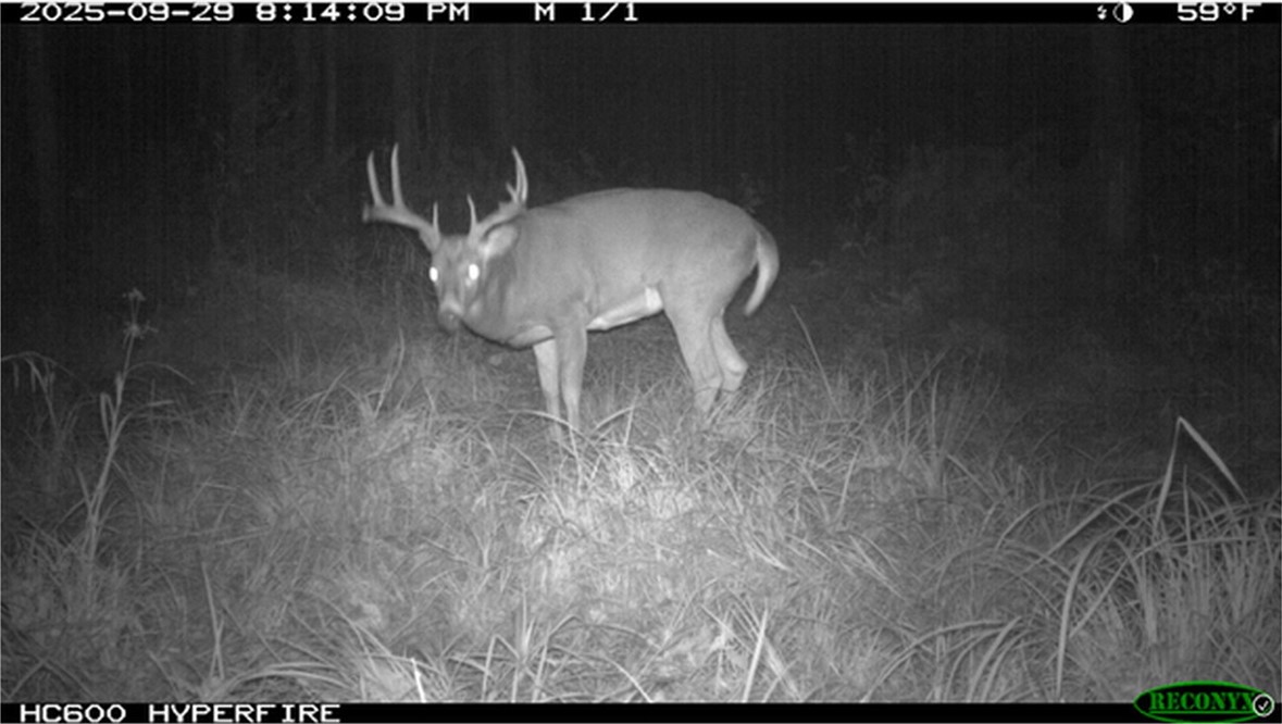 Tbd N State Road 40 Property Photo 36