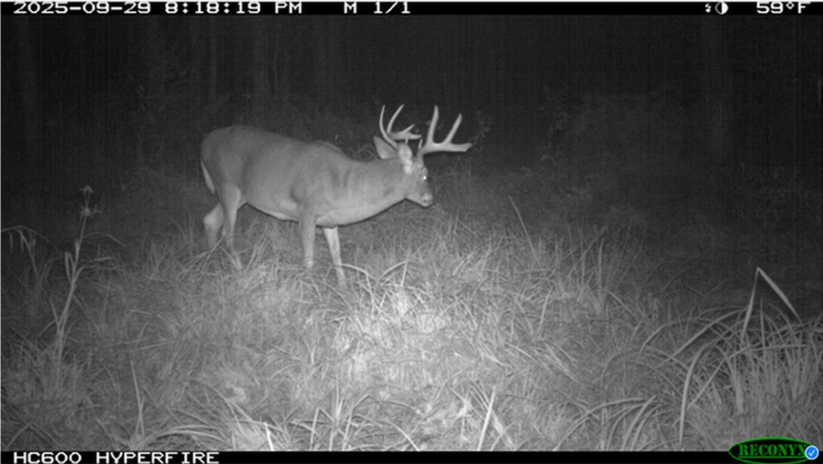 Tbd N State Road 40 Property Photo 37
