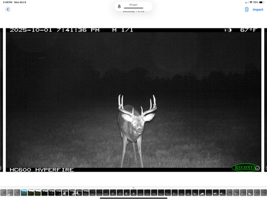 Tbd N State Road 40 Property Photo 38