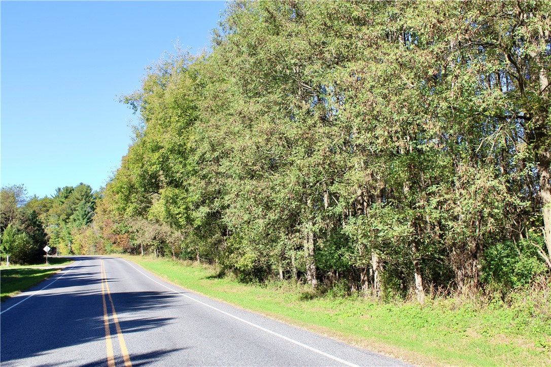 0 S Lowes Creek Rd Road Property Photo 1