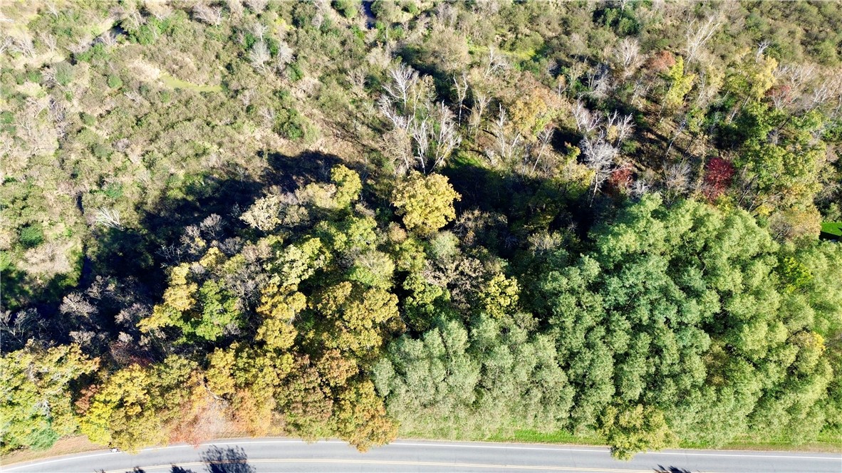 0 S Lowes Creek Rd Road Property Photo 5