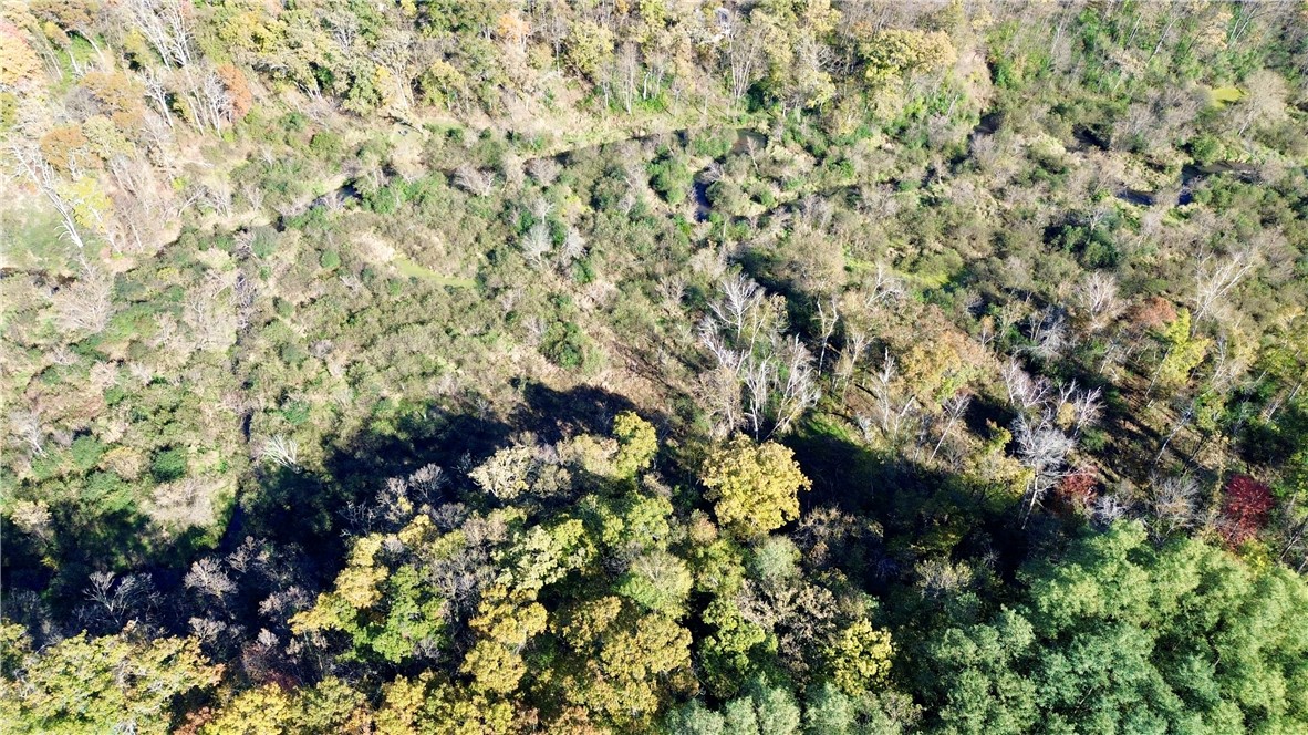 0 S Lowes Creek Rd Road Property Photo 6