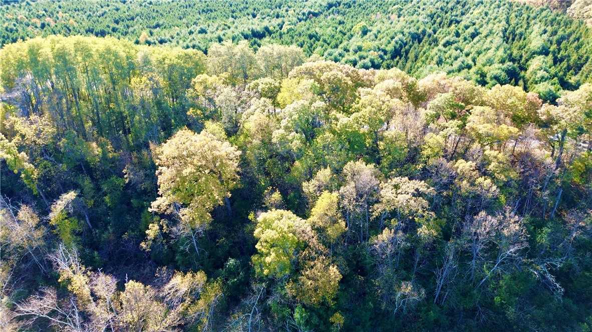 0 S Lowes Creek Rd Road Property Photo 14