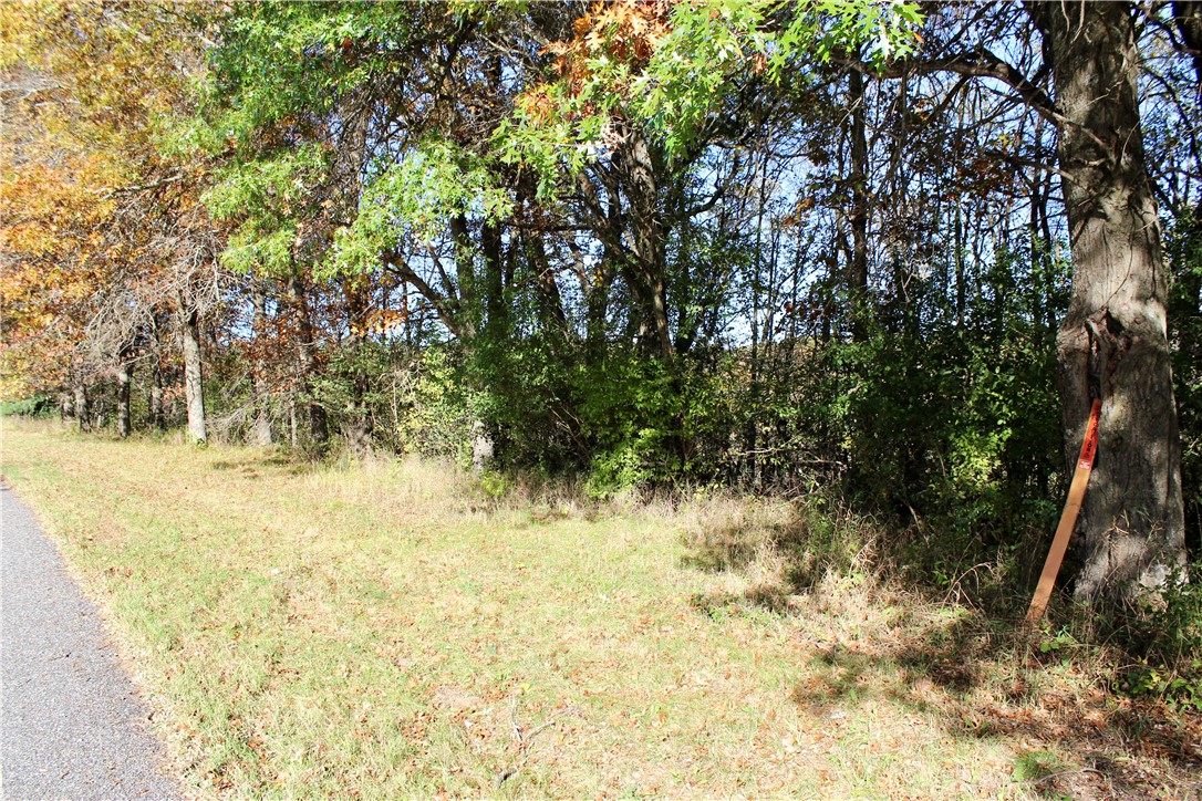 0 S Lowes Creek Rd Road Property Photo 18