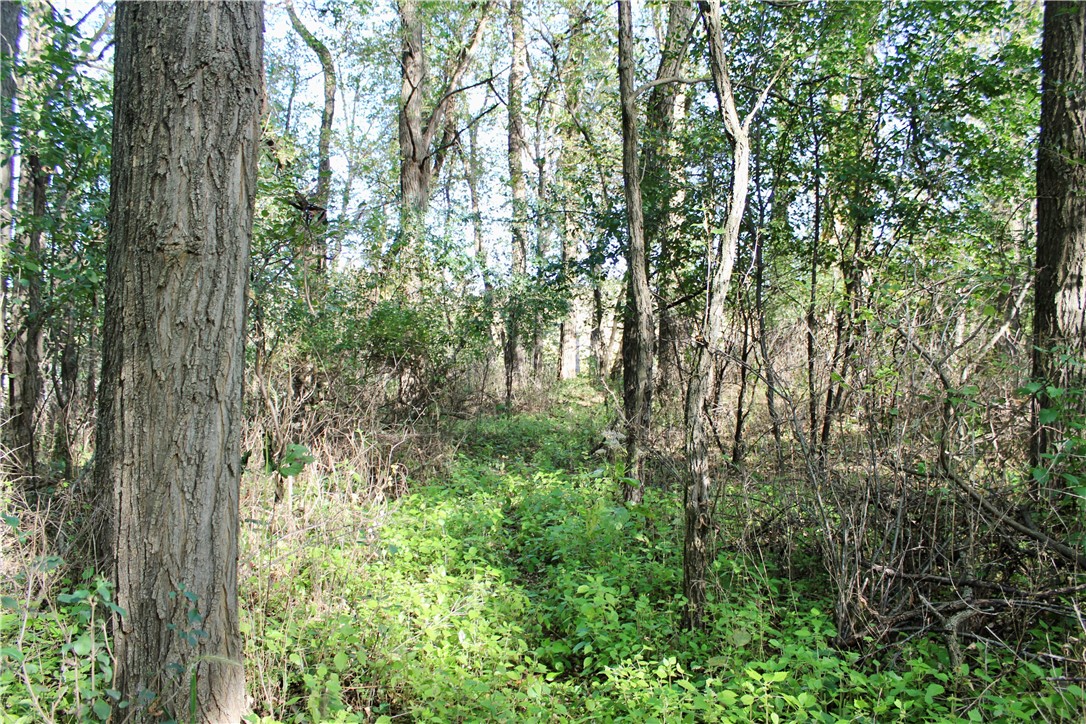 0 S Lowes Creek Rd Road Property Photo 20