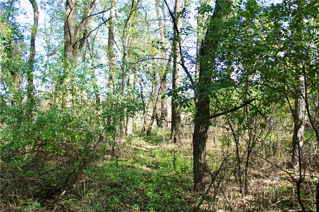 0 S Lowes Creek Rd Road Property Photo 21