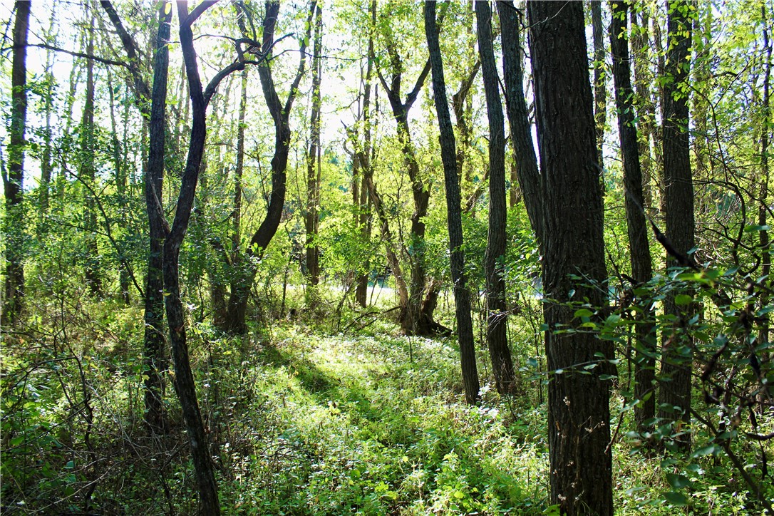 0 S Lowes Creek Rd Road Property Photo 22