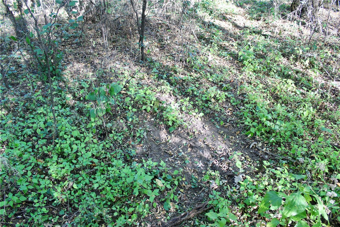 0 S Lowes Creek Rd Road Property Photo 23