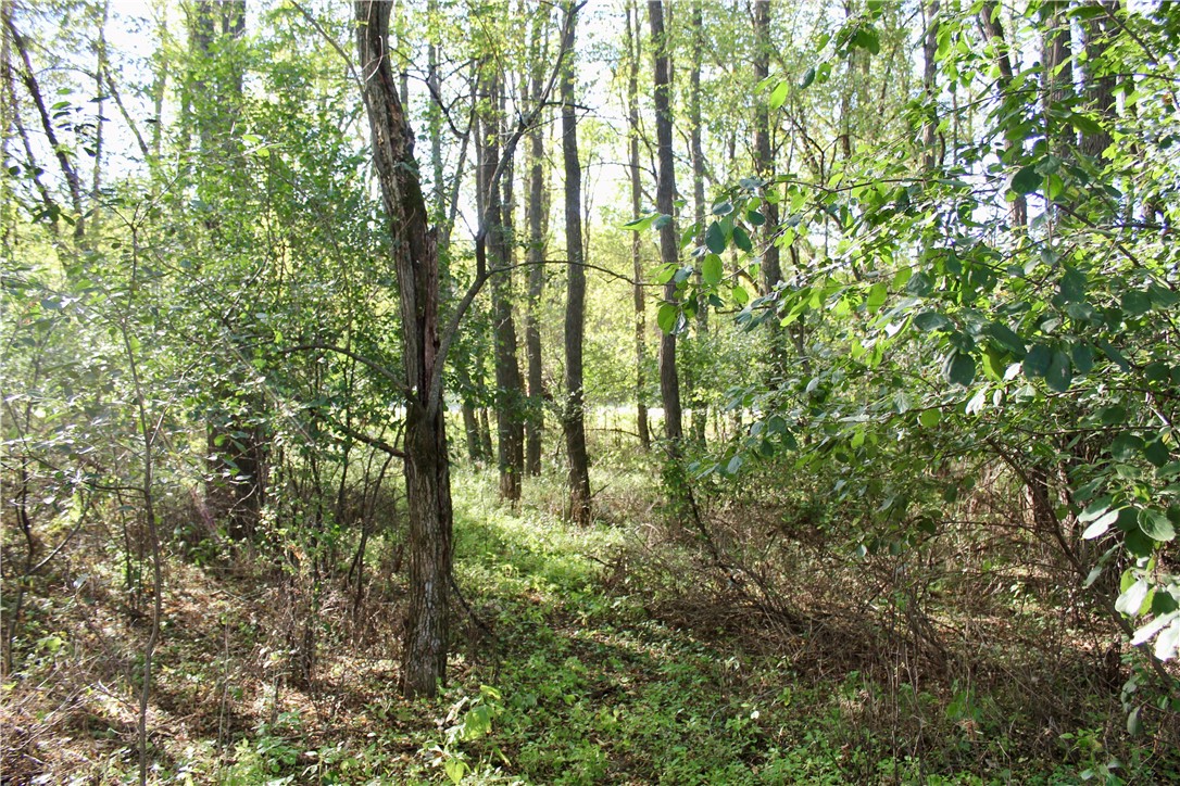 0 S Lowes Creek Rd Road Property Photo 24