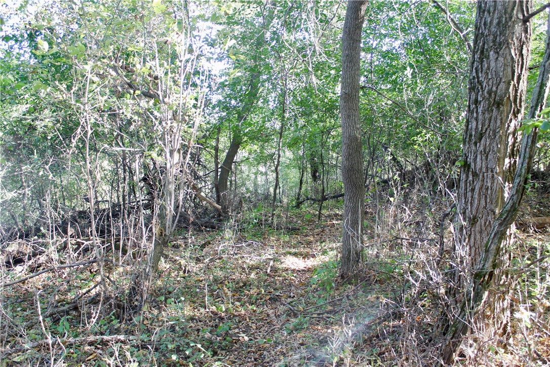 0 S Lowes Creek Rd Road Property Photo 25