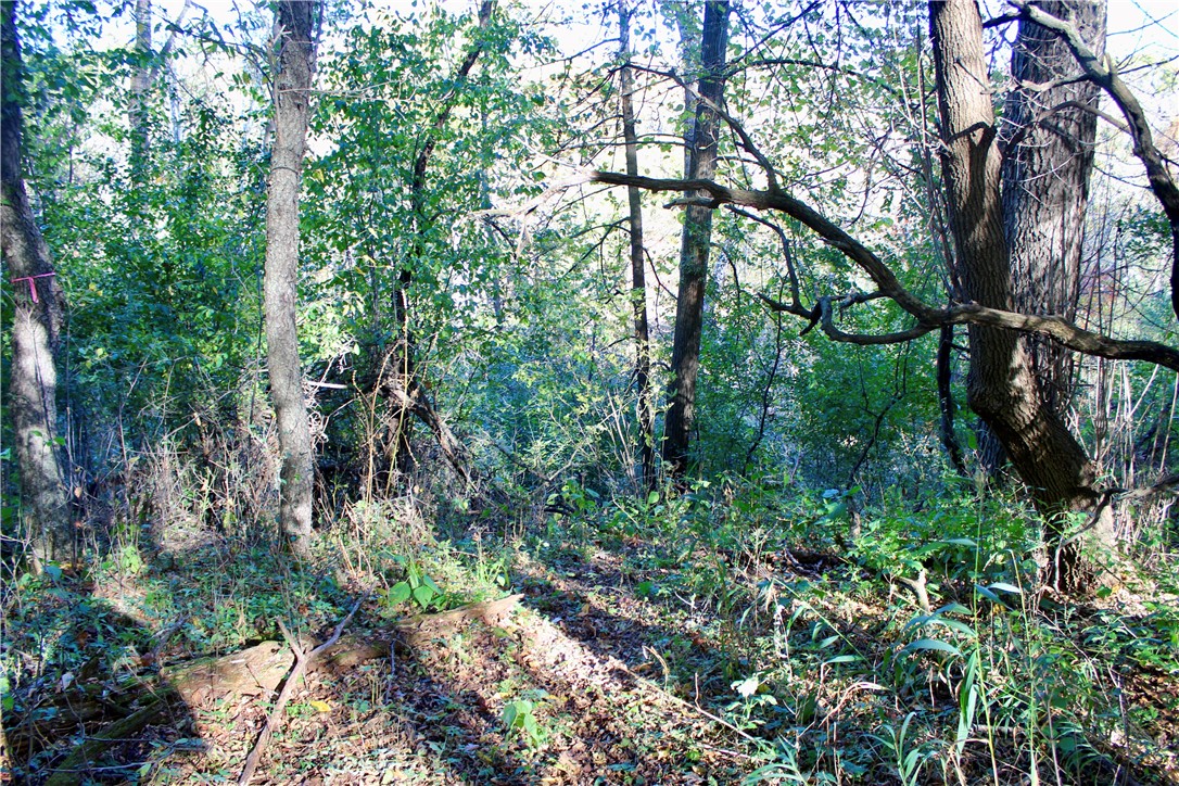 0 S Lowes Creek Rd Road Property Photo 26