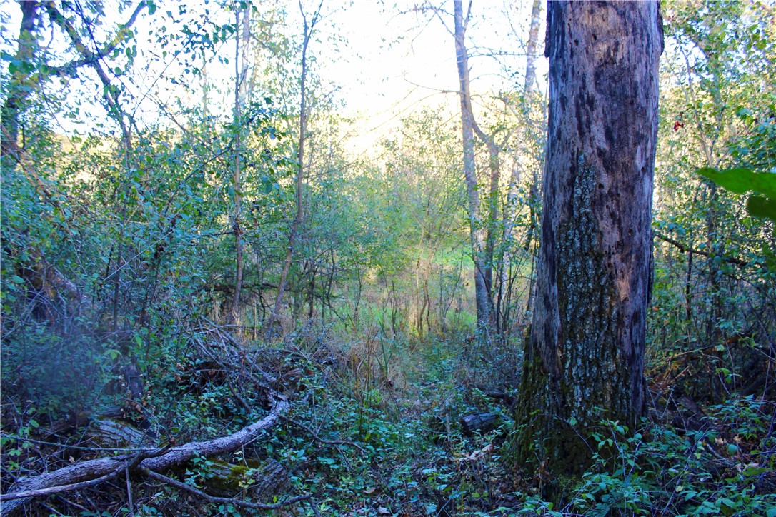 0 S Lowes Creek Rd Road Property Photo 27