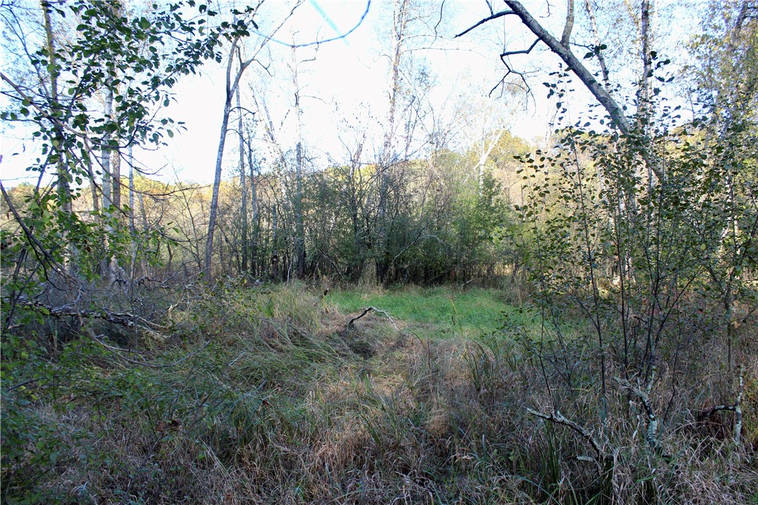 0 S Lowes Creek Rd Road Property Photo 28